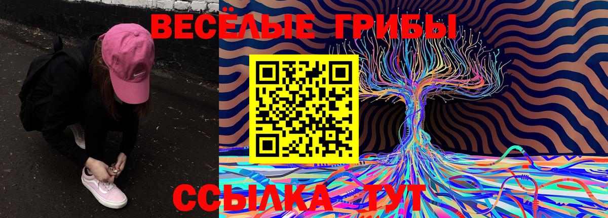 наркотики  Псилоцибиновые грибы мухоморы  Вход с VPN  Ефремов 