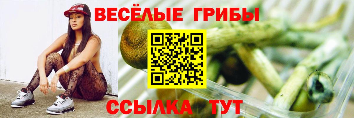 Псилоцибиновые грибы мицелий Ефремов